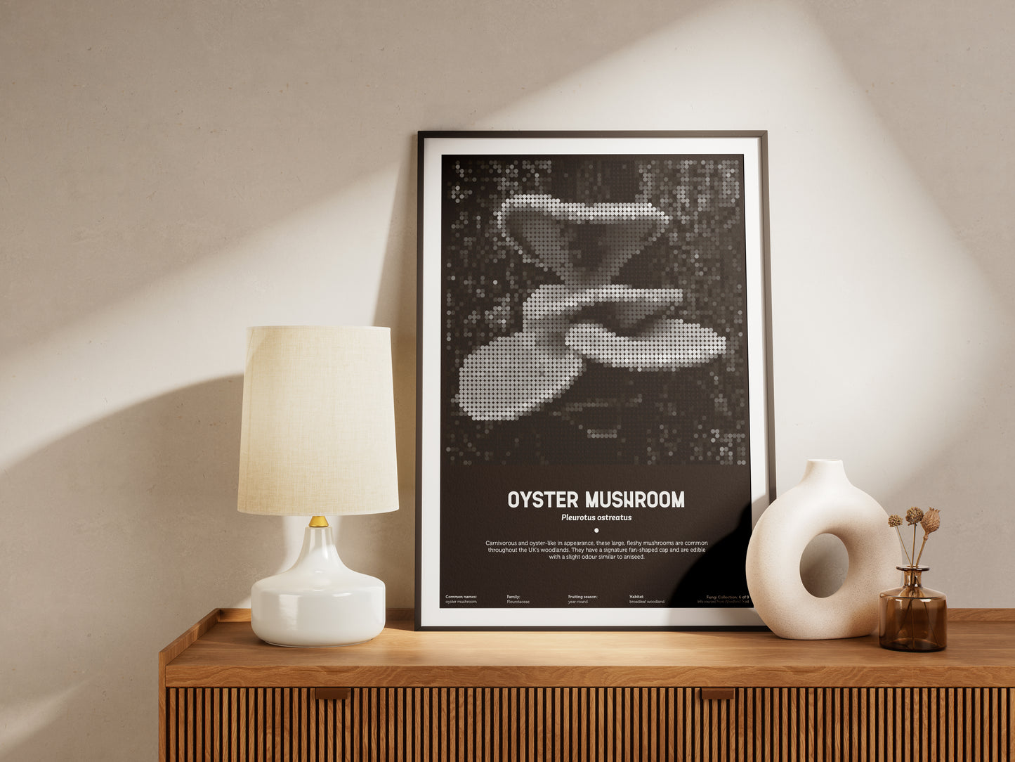 Oyster Mushroom