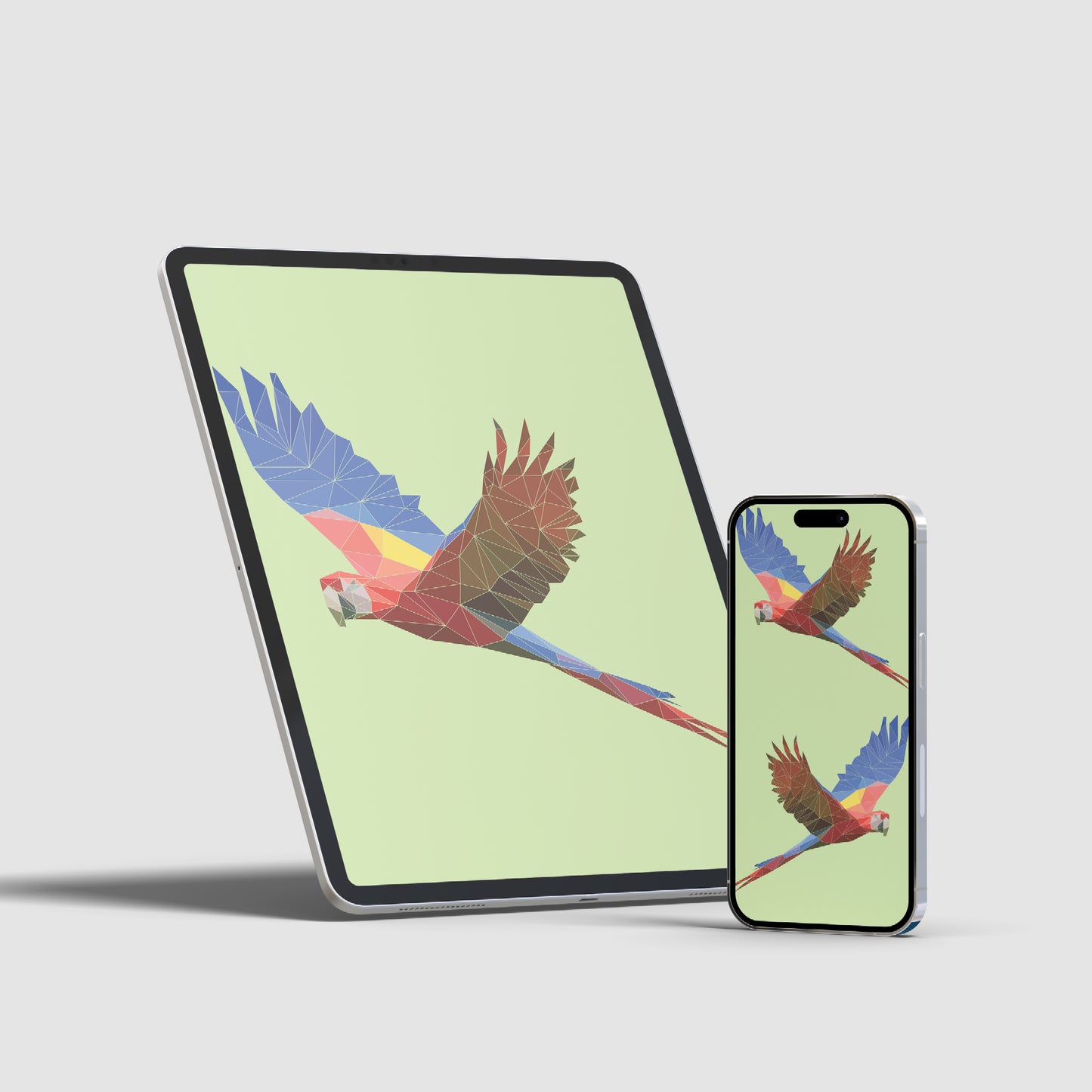 Scarlet Macaw
