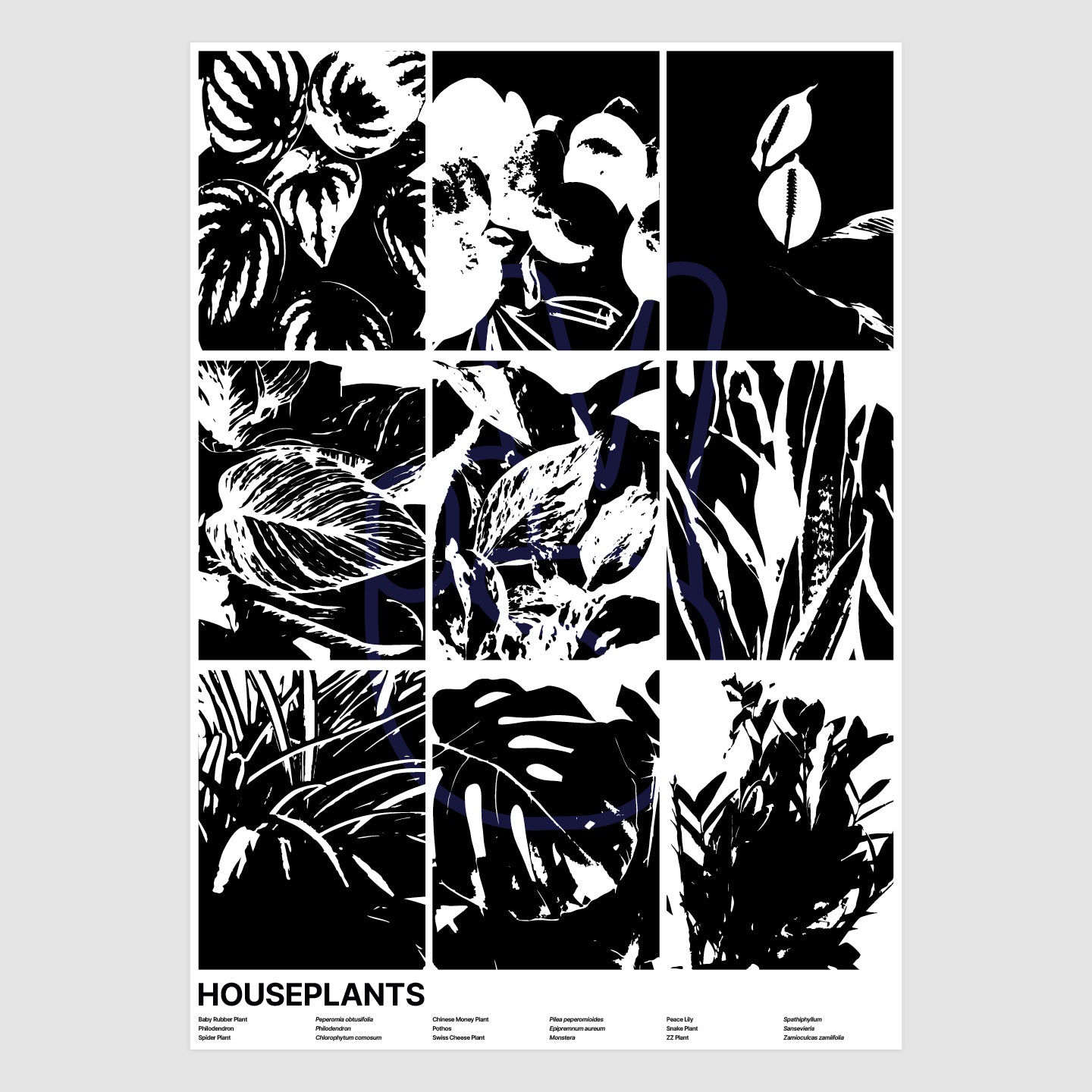 Houseplants