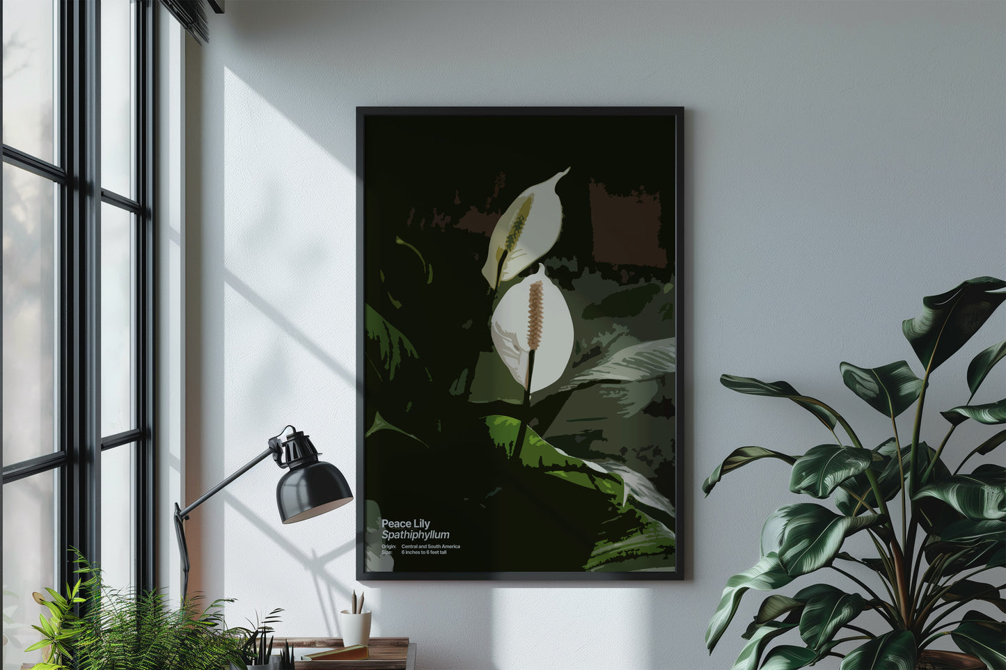 Peace Lily