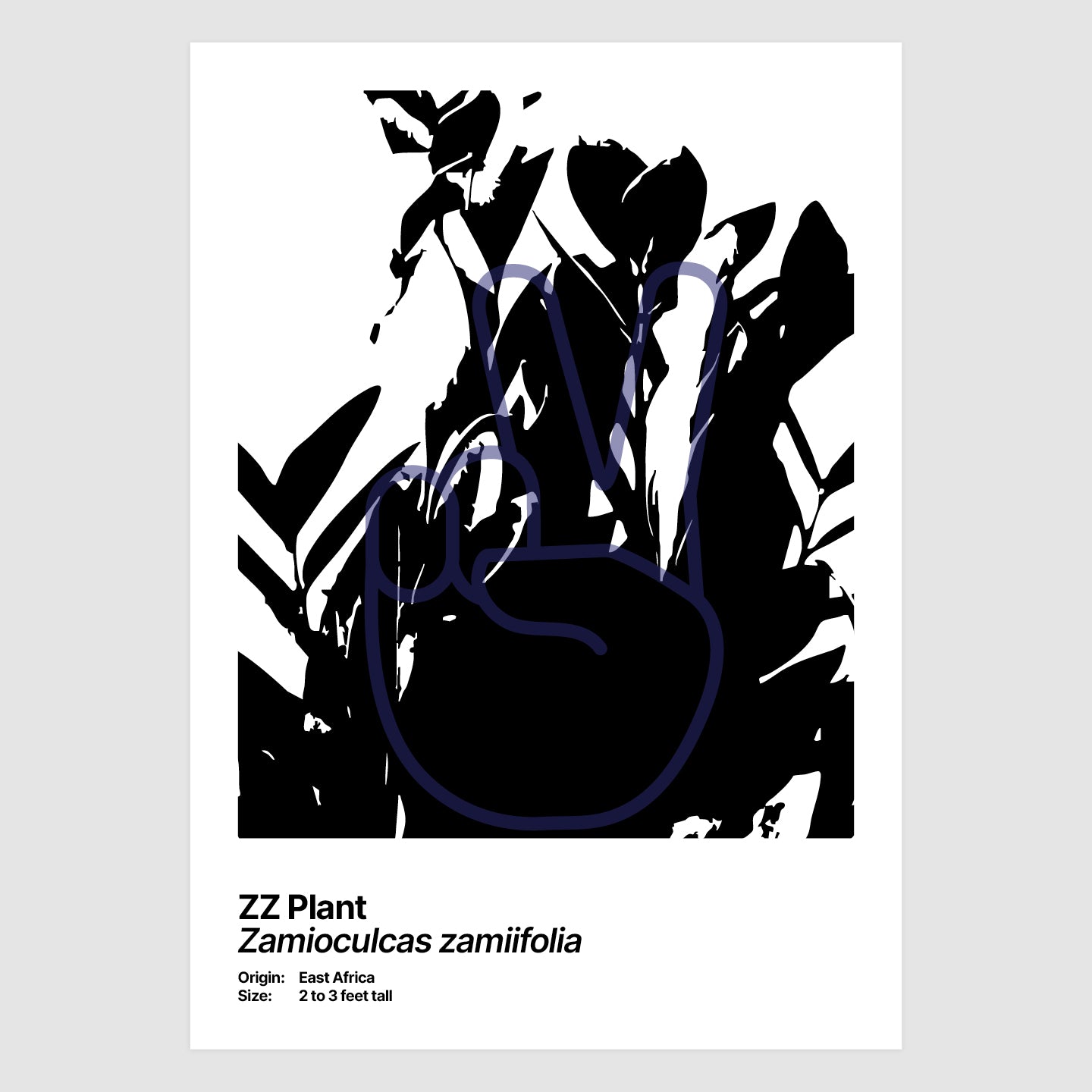 ZZ Plant