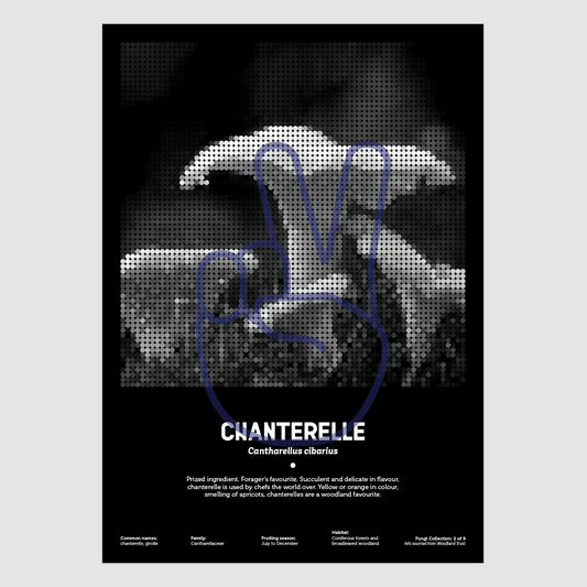 Chanterelle