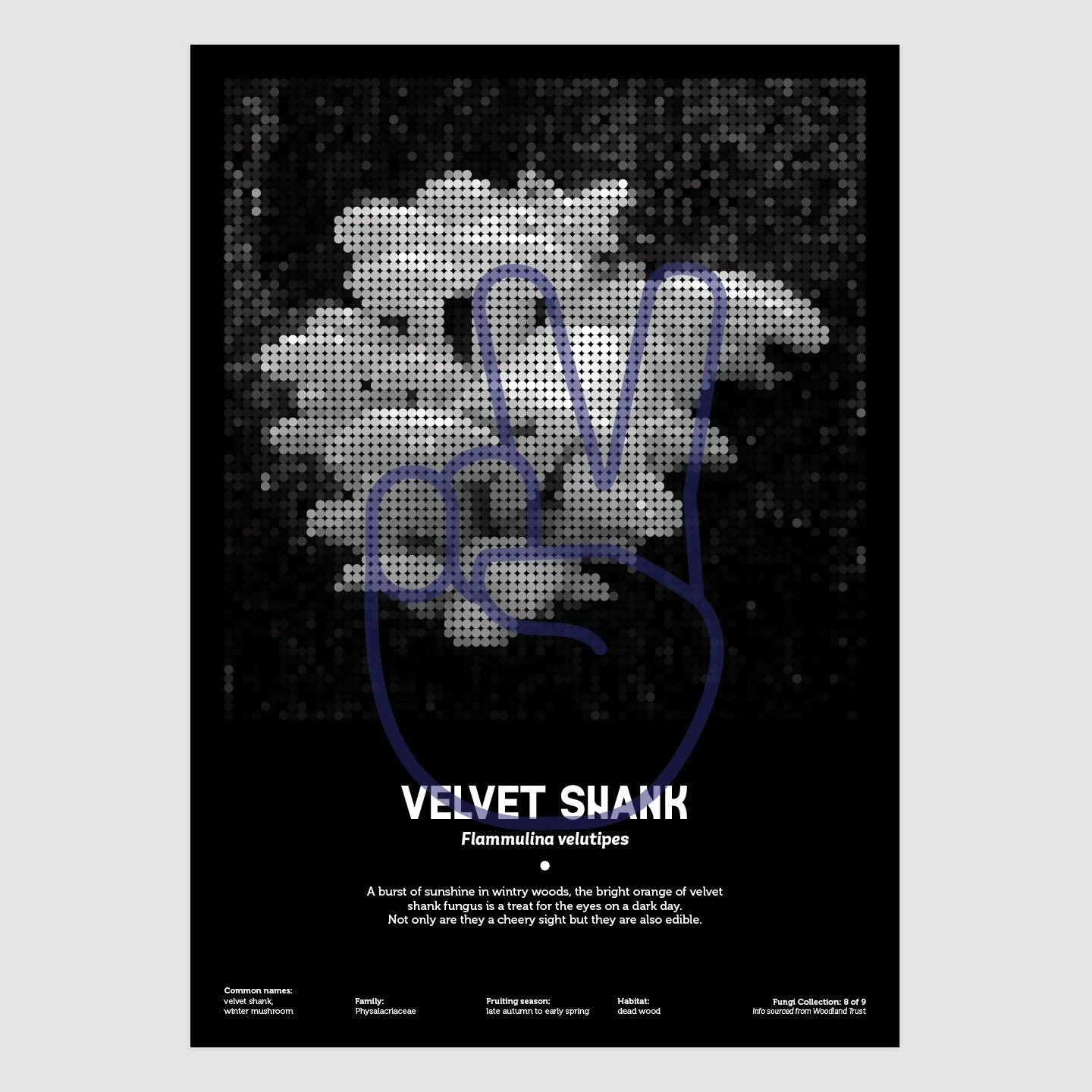 Velvet Shank