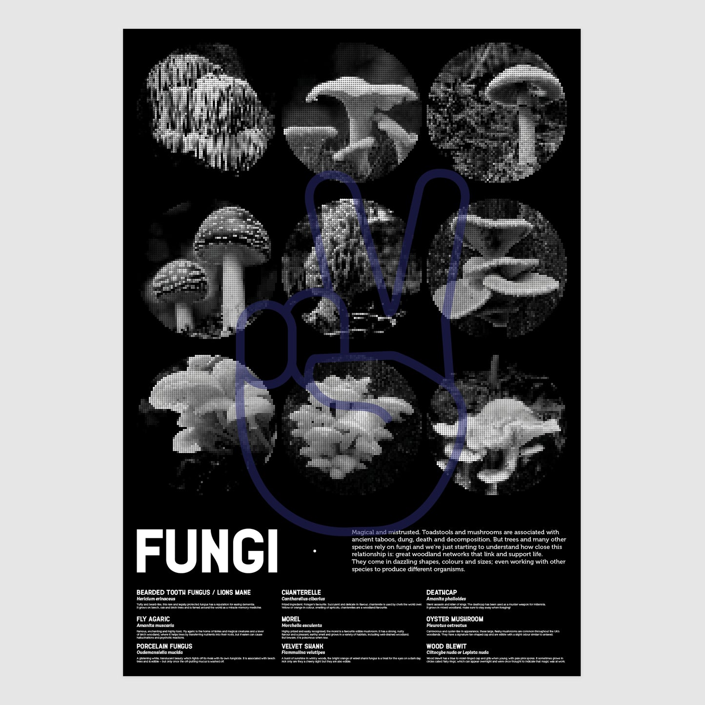 Fungi