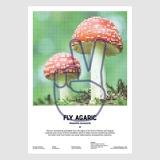 Fly Agaric