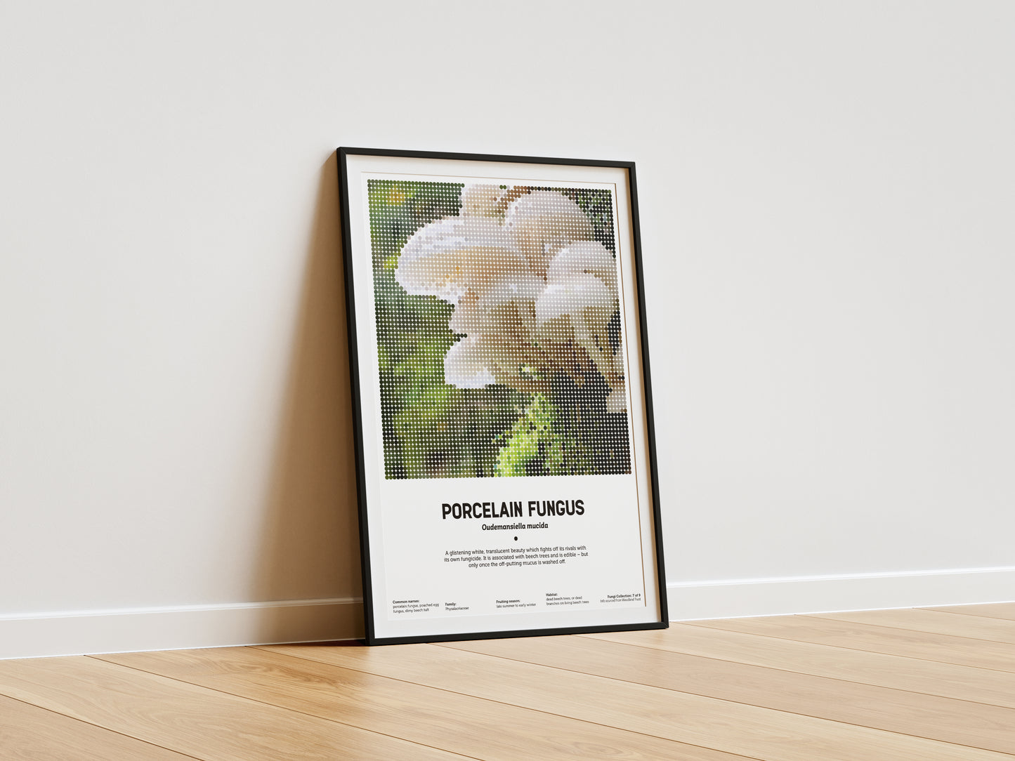 Porcelain Fungus
