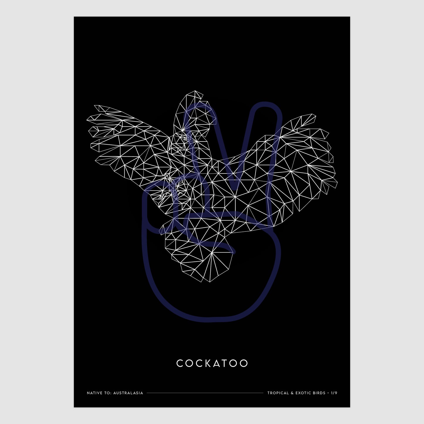 Cockatoo